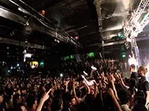 Discotecă Velvet, Rimini